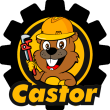 Castor Ferretero